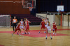 ASWBL vs. Filozof Bratislava-ASWBLvsFilozof_2013-11-23_12-Vienna 87